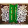 Different Packages Of New Crop Fresh Garlic 2019